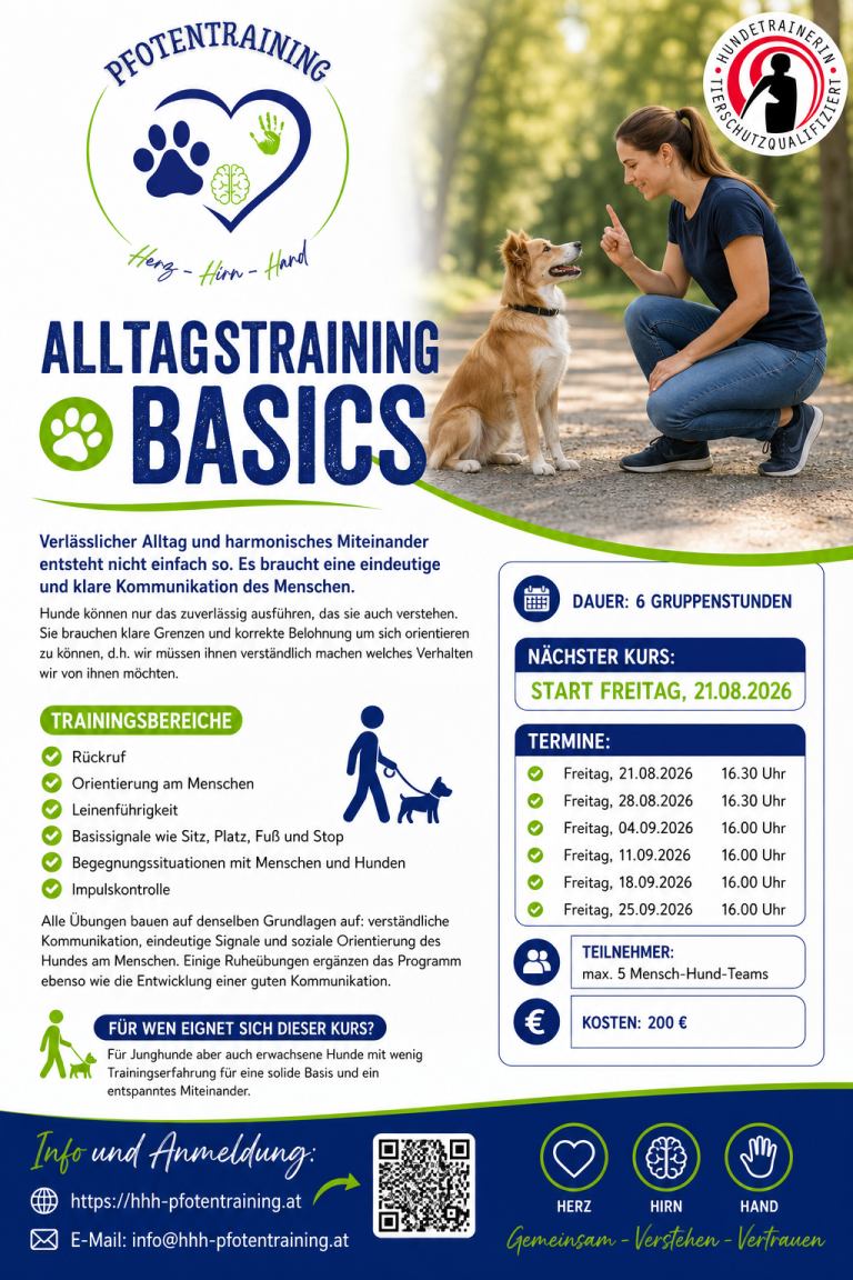 Alltagstraining Basics