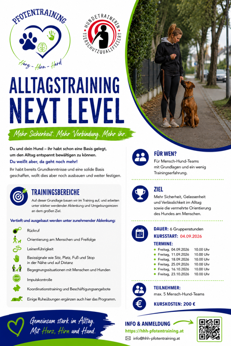 Workshop Alltagstraining Next Level