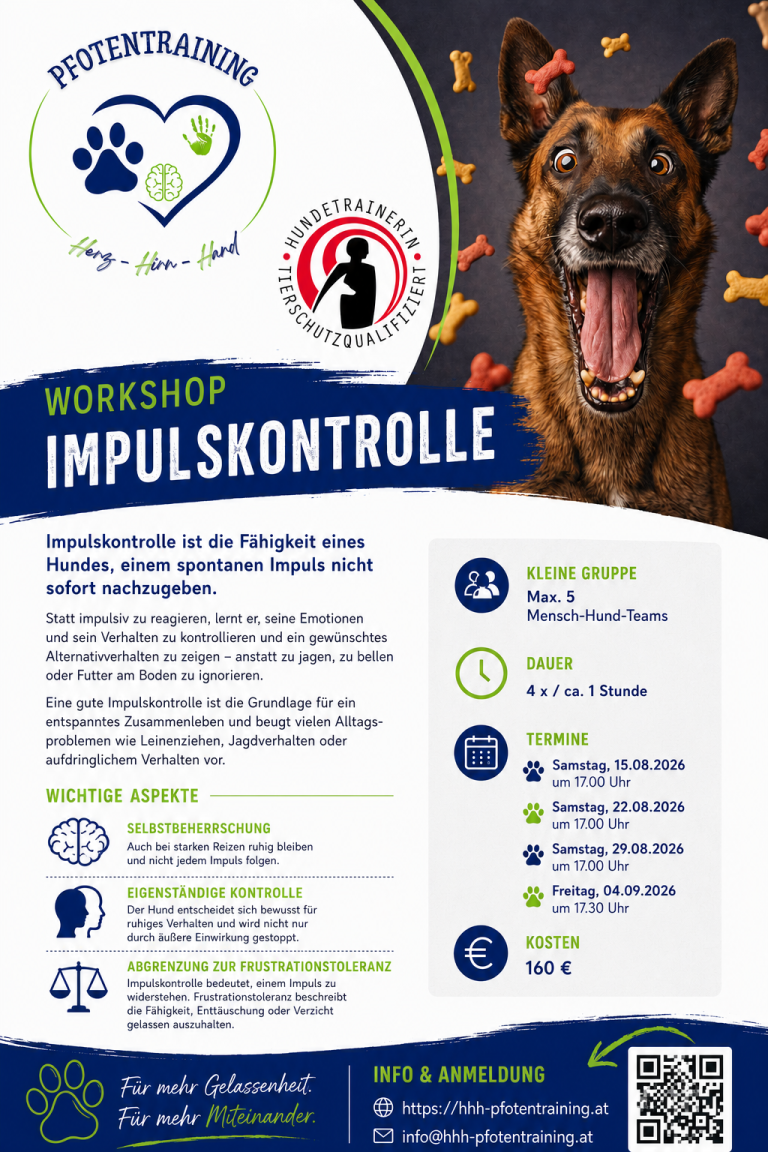 Workshop Impulskontrolle