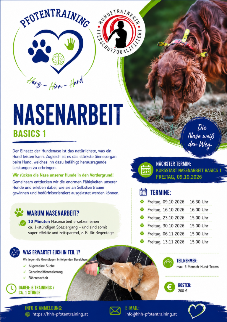 Workshop Nasentraining 1