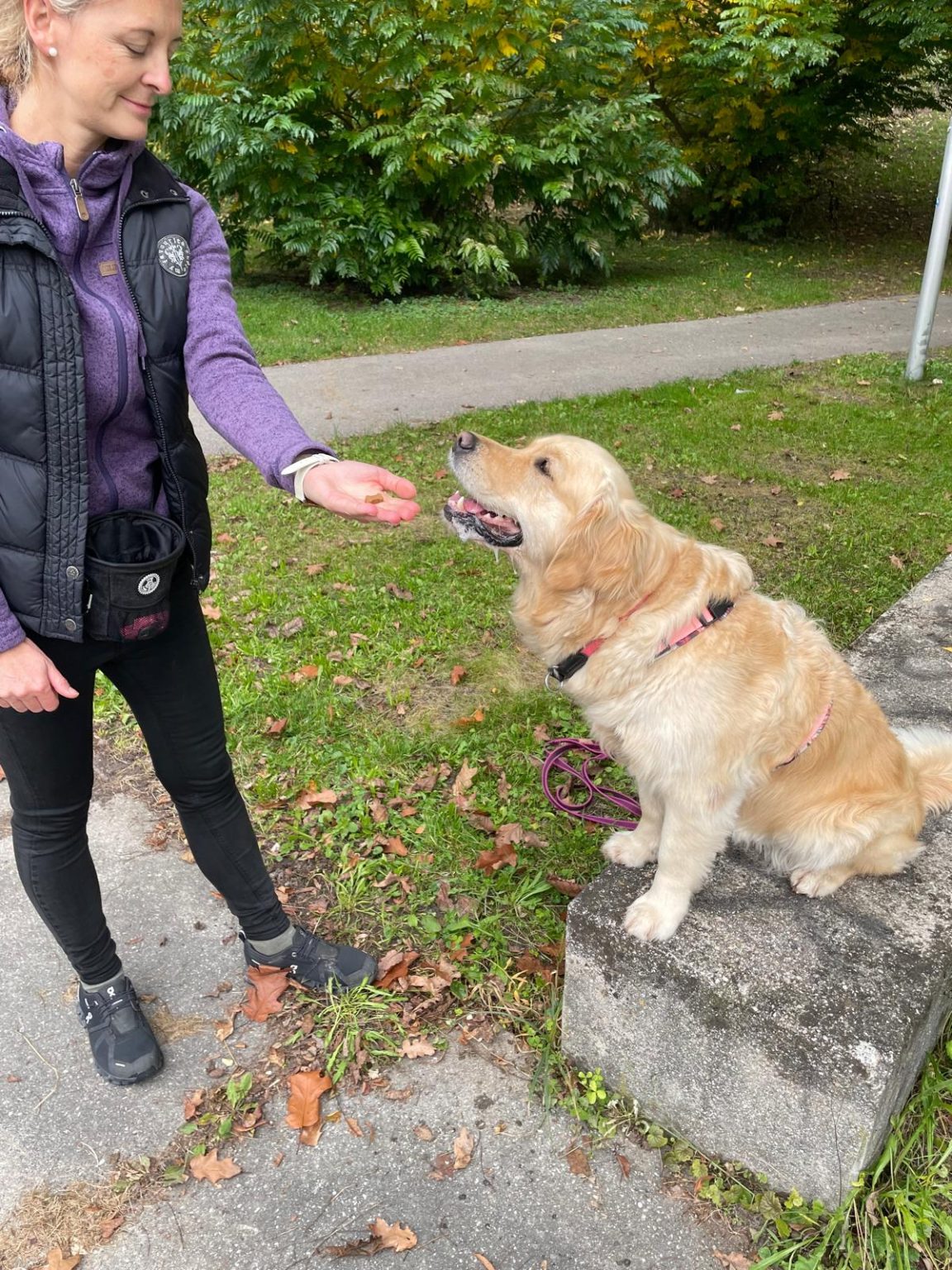 WhatsApp Bild 2025-10-15 um 18.14.10_d66827ae