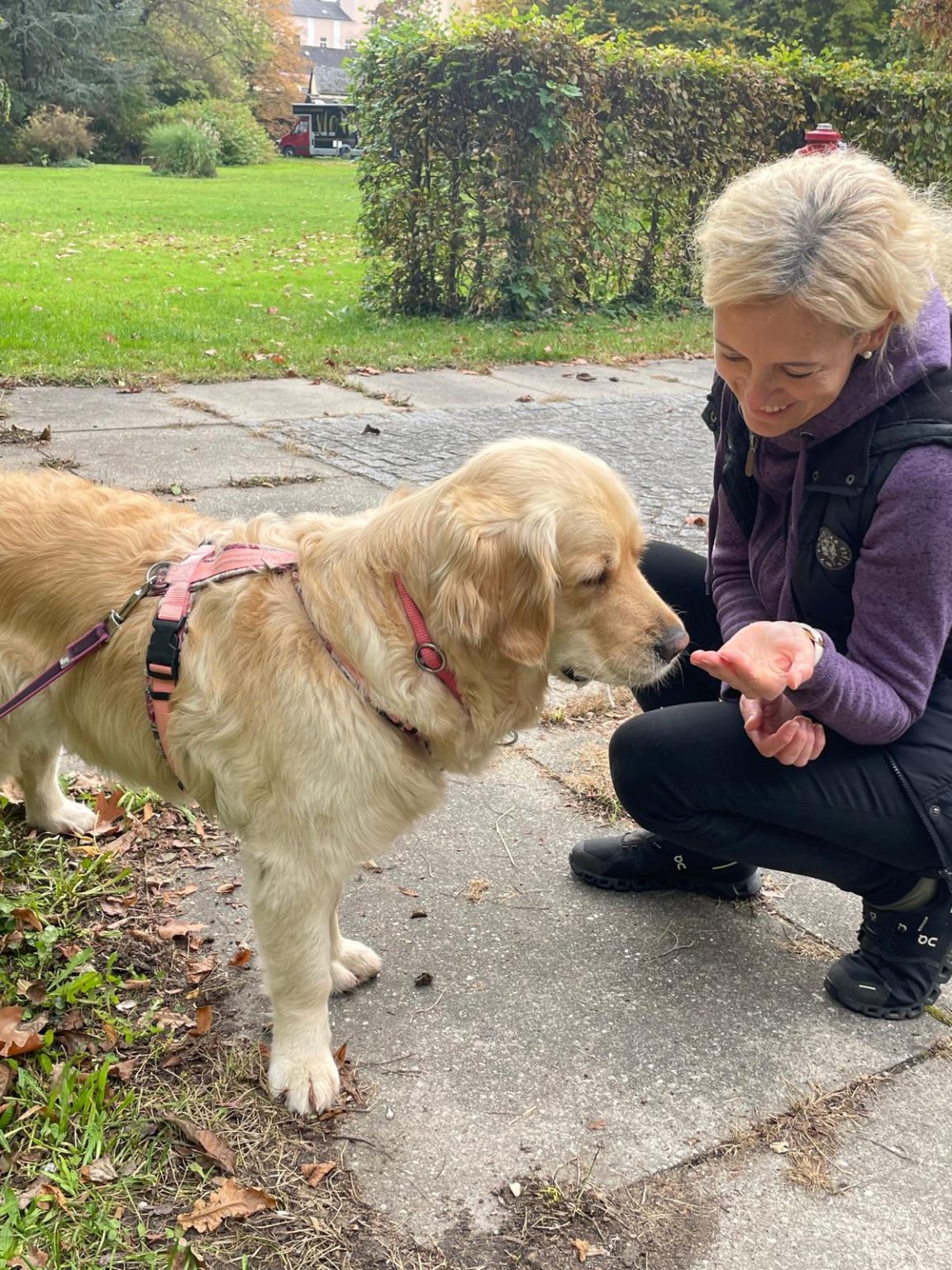 WhatsApp Bild 2025-10-15 um 18.14.11_758cb68c