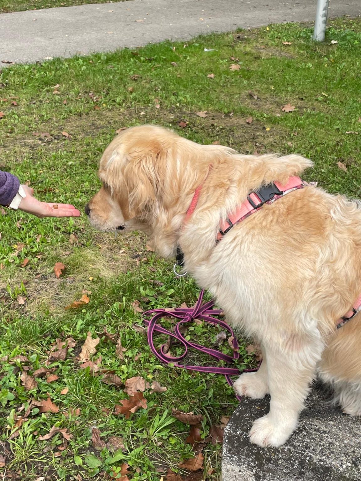 WhatsApp Bild 2025-10-15 um 18.14.11_81327933