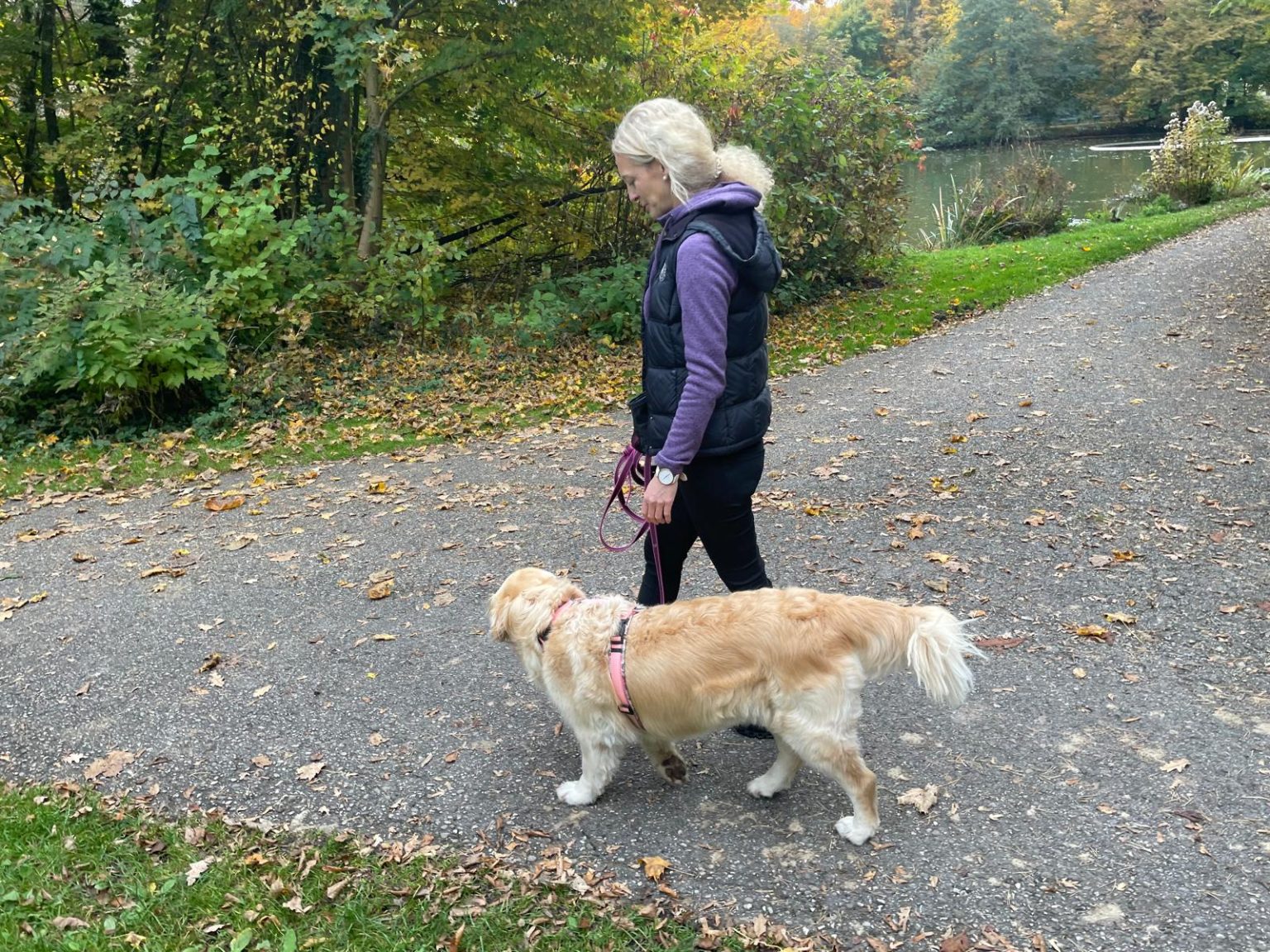 WhatsApp Bild 2025-10-15 um 18.14.12_1f317862