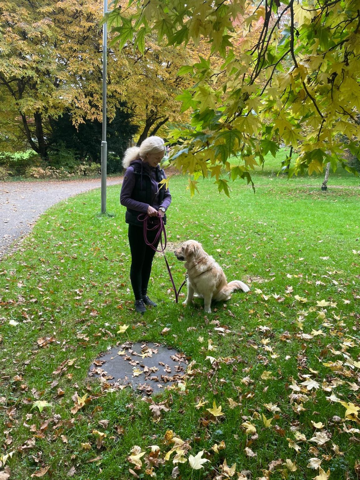 WhatsApp Bild 2025-10-15 um 18.14.12_77508f89