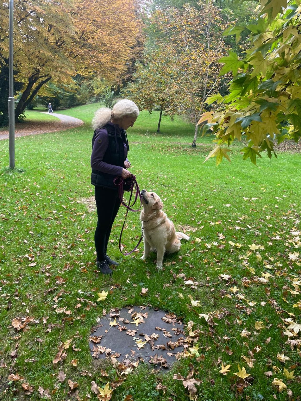 WhatsApp Bild 2025-10-15 um 18.14.12_9b874254